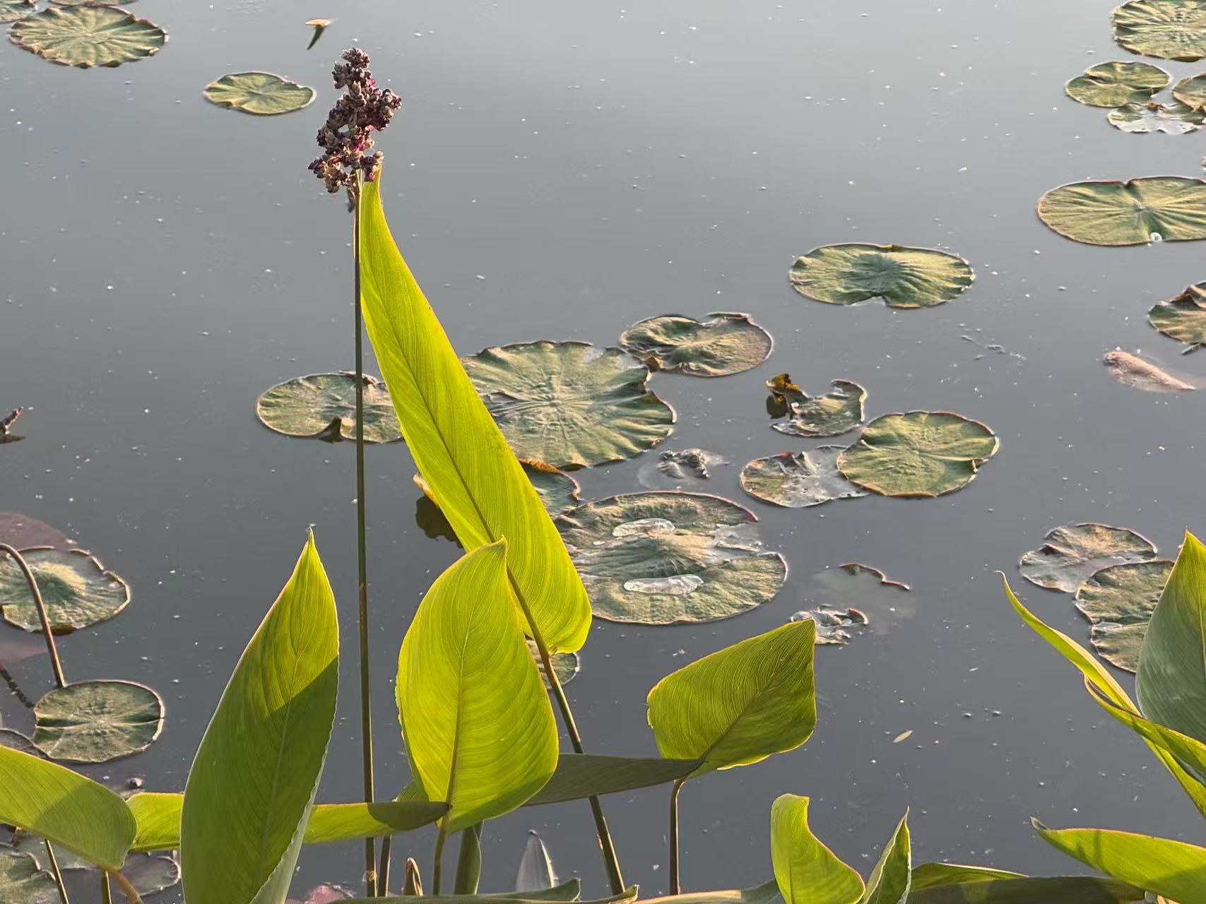 Header photo of the heritage site